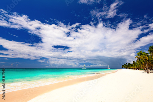 Fototapeta Naklejka Na Ścianę i Meble -  paradise beach beautiful white sand with palm tree in the resort of caribbean