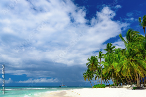 paradise beach beautiful white sand with palm tree in the resort of caribbean