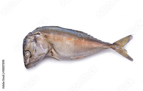 Mackerel fish steamed isolated on white background, Mackerel to steam
