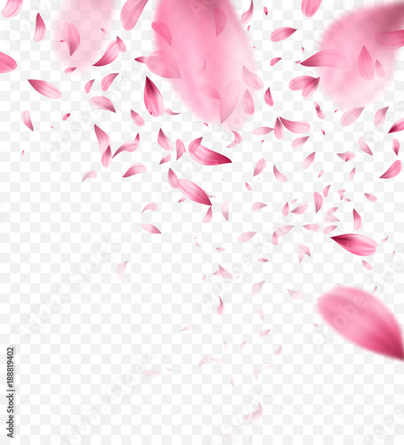 Pink sakura falling petals background. Vector illustration