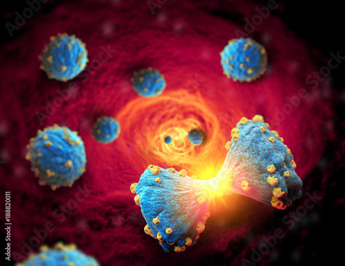 Cancer cell in the moment that divides