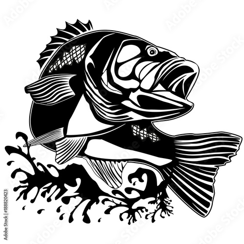 PERCH FISH