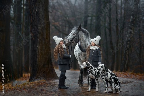 Twins girls portrait with Appaloosa horse and Dalmatian dogs  photo