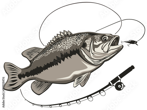 Bass fishing rod