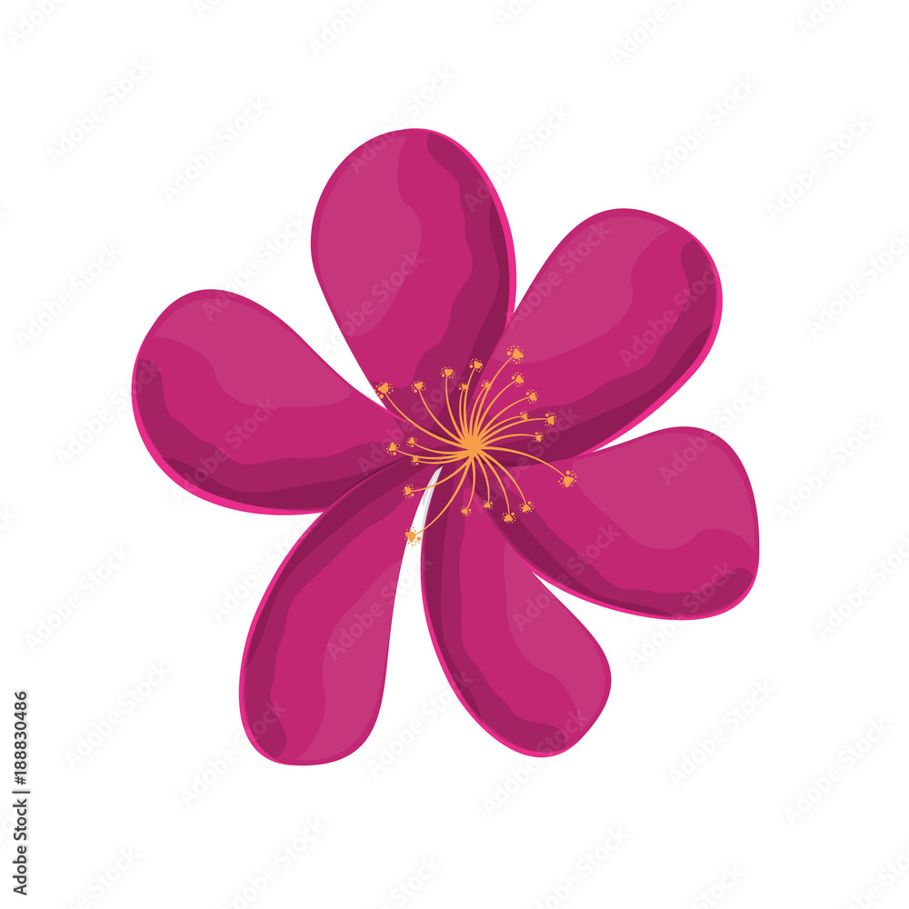 cute flower decorative icons vector illustration design