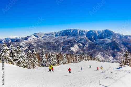 Mountain ski resort Shiga Kogen, Japan - nature and sport background, sunny day, snow pine trees