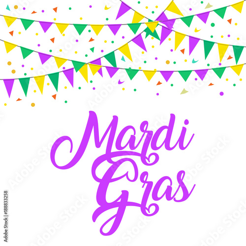 Carnival flags mardi gras