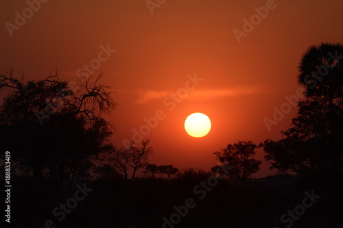 African Sunset © Francesca