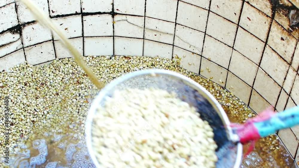 Curated visual reference: Arabica Coffee Beans Processing Methods Reference: Vidéo Stock 100 Organic Arabica Coffee Beans In The Ferment