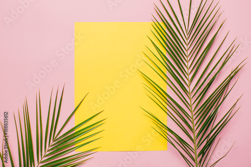 Palm leaves on a pink background with yellow card. Minimal and flat lay.