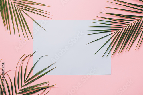 Palm leaves on a pink background with blue card. Minimal and flat lay.