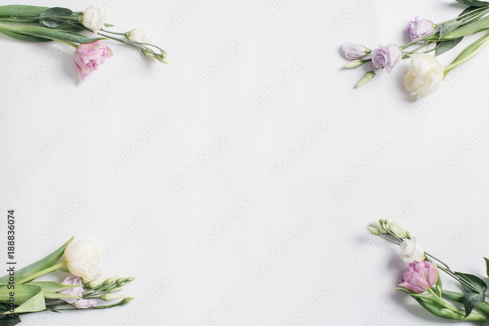 Flowers of Eustoma on a white background.