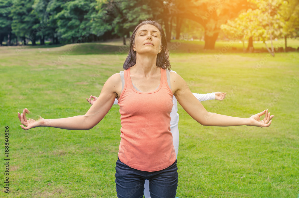 Healthy life exercise concept - Yoga class concept young woman in yoga class on the park Healthy life exercise concept - Yoga class concept young woman in yoga class on the park
