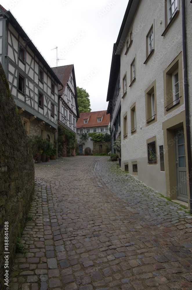 Fototapeta premium Bad Wimpfen バートヴィンプフェンの風景