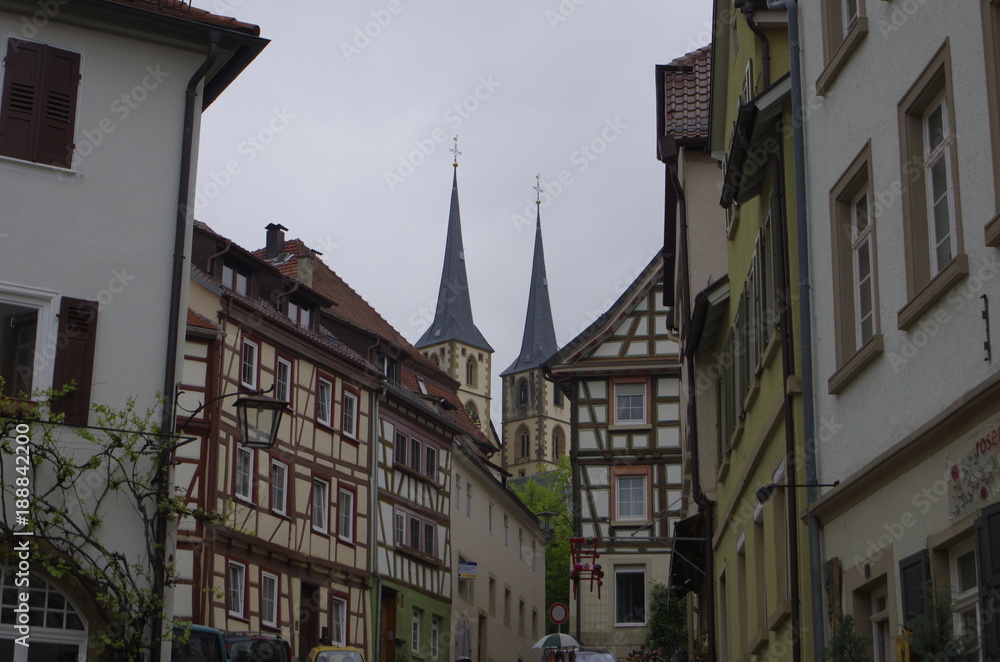 Fototapeta premium Bad Wimpfen バートヴィンプフェンの風景
