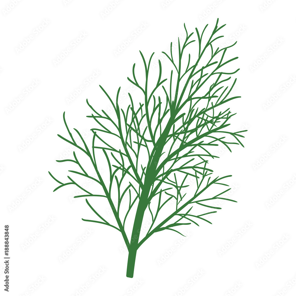 Fototapeta premium Dill icon