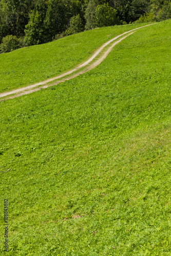 green summer pasture with carrareccia road