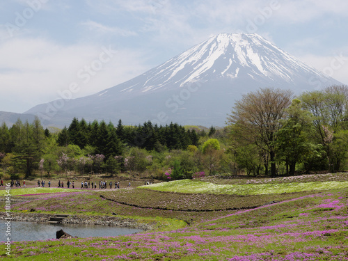 富士山 © applevinci