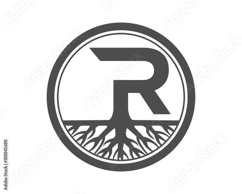 R solution root