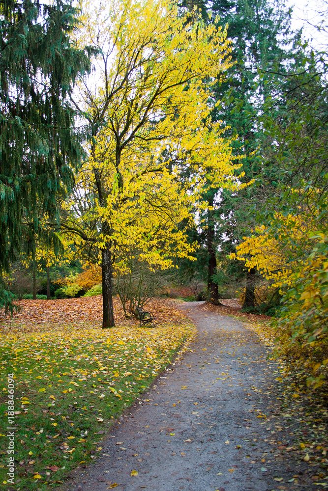 Obraz premium Fall colors