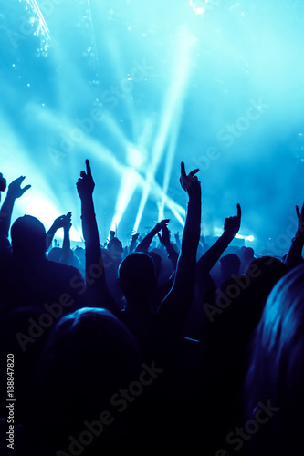Concert Crowd at rock concert