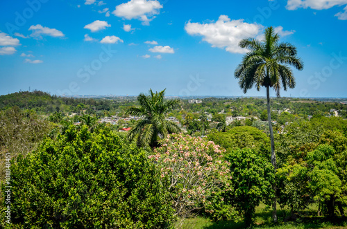 Wallpaper Mural Blick aus Hemingway's "Finca Villa Vigia" Richtung Havanna Torontodigital.ca