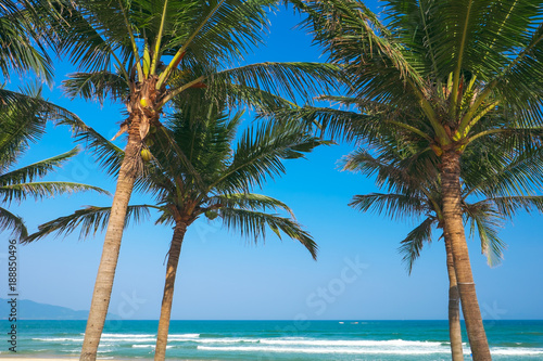 Coconut palm trees at the China Beach, DaNang, Vietnam. © Tee11