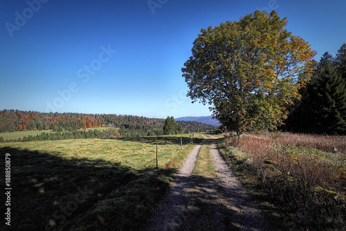 Lovely hiking path called 