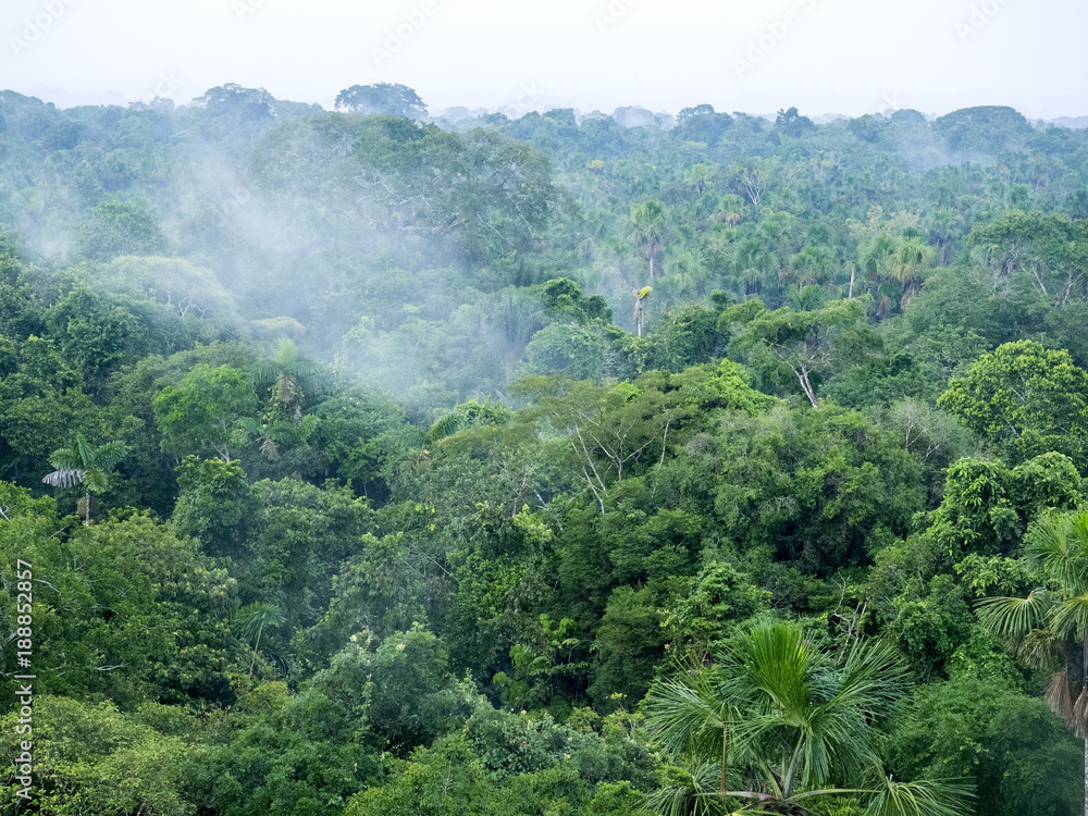 view from above on the Amazon River Napo, Yasuni National Park, Ecuador