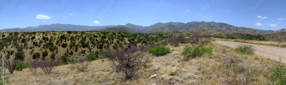panorama over desertland Tucson, Arizona