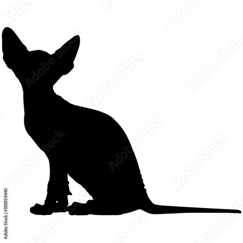Sphynx Cat Silhouette Vector Graphics