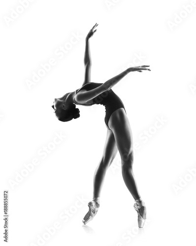 Ballerina in black outfit posing on toes © Aleksandr Doodko