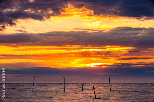 Abstract yellow sky  hidden red sun behind bright blue purple clouds  silhouettes of birds on sticks with wire sticking out of the water. Beautiful colorful sunset on the Black Sea  Sochi  Russia.