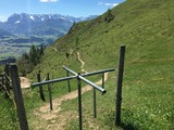 Weidezaun vor Alpenpanorama