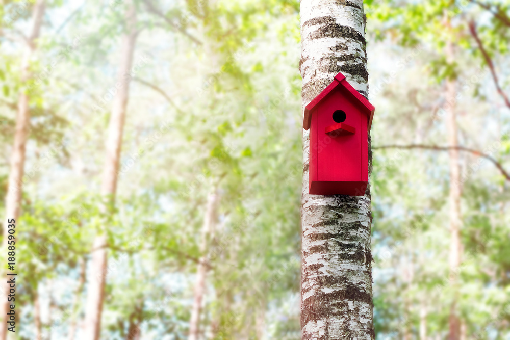The red birdhouse on a tree in spring forest The red birdhouse on a tree in spring forest