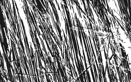 Black and White Grass Silhouette Texture Rustic Background