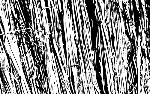 Black and White Grass Silhouette Texture Rustic Background