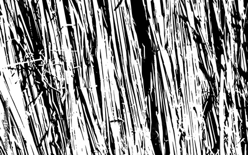 Black and White Grass Silhouette Texture Rustic Background