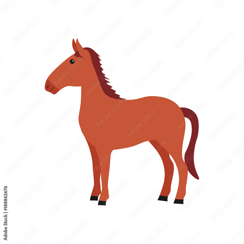 Cute brown horse. Farm animal. Cute brown horse. Farm animal.