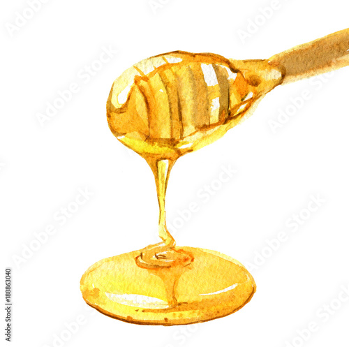 Honey with honey dipper closeup isolated on white background, watercolor illustration