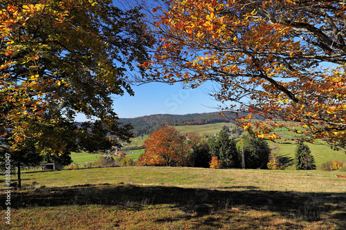 Lovely hiking path called "Ibacher Panoramaweg" near Oberibach showing the colorful landscape in the southern Black Forest in Autumn, Germany