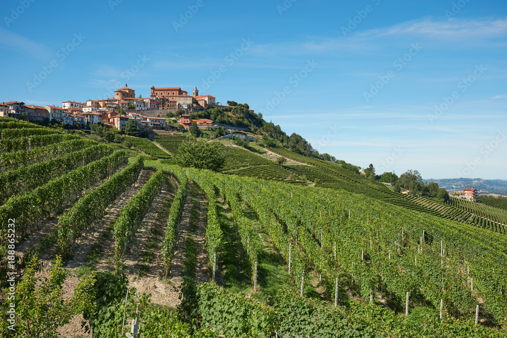 La Morra town in Piedmont, Langhe hills with vineyards in Italy in a sunny day