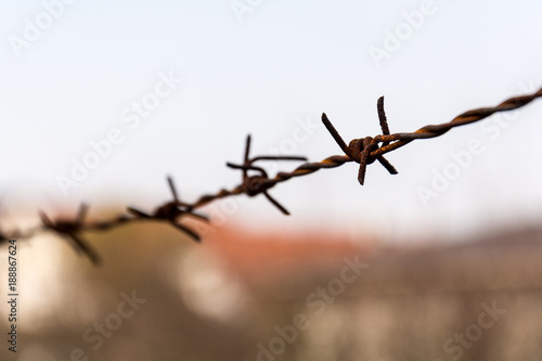 Barbed wire © nedomacki