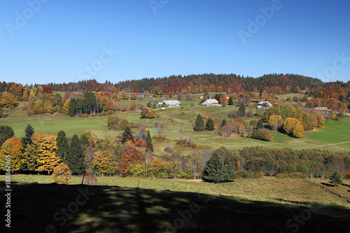 Lovely hiking path called 