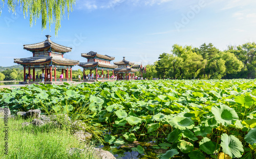 Canvas Print The Mid-lake Pavilion and a pond of lotuses