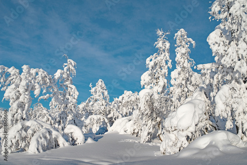 Winter landscape with heavy snow telemark, norway