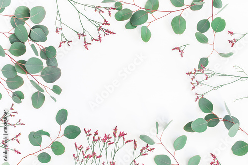 Wallpaper Mural Flowers composition. Frame made of eucalyptus branches and pink flowers on white background. Flat lay, top view, copy space Torontodigital.ca