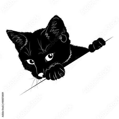 Векторный рисунок чёрный силуэт выглядывающий кошки