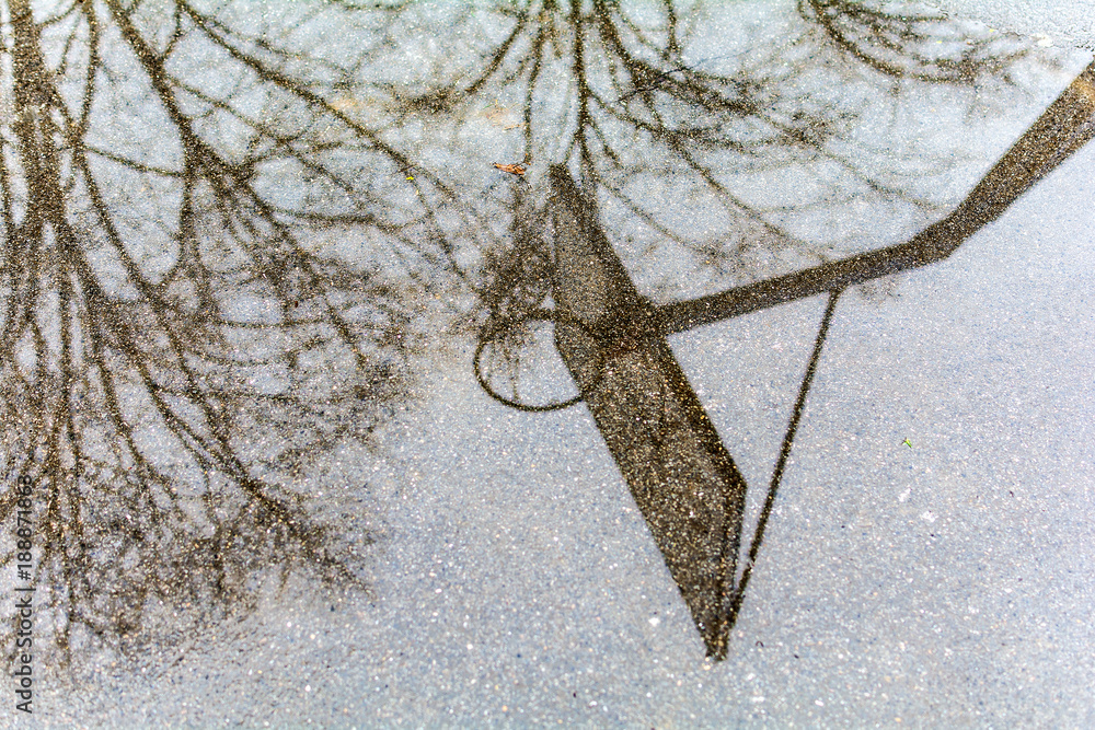 Fototapeta premium Basketball court and reflection on it