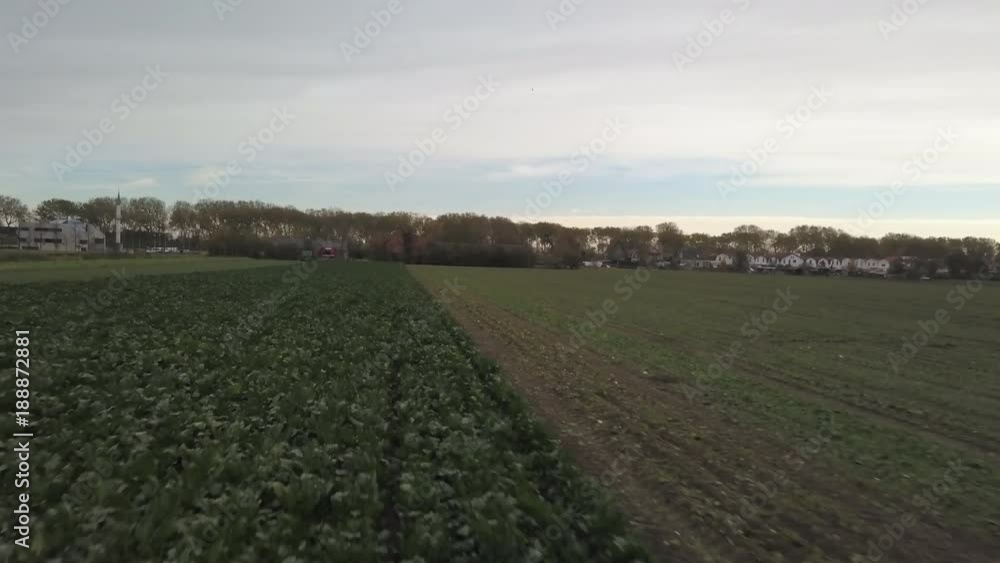 Harvesting in the netherlands Harvesting in the netherlands